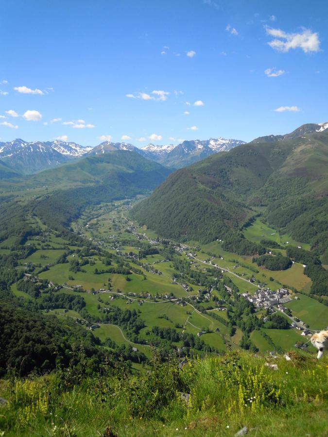 La Grande Ourse Bed & Breakfast Campan Bagian luar foto